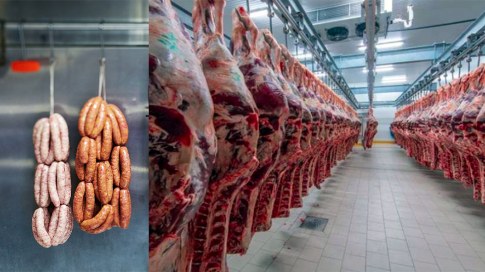 MATADEROS Y PROCESAMIENTO DE CARNE