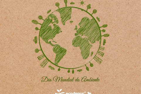 Día mundial del medio ambiente | Se celebra la biodiversidad